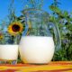 milk kefir