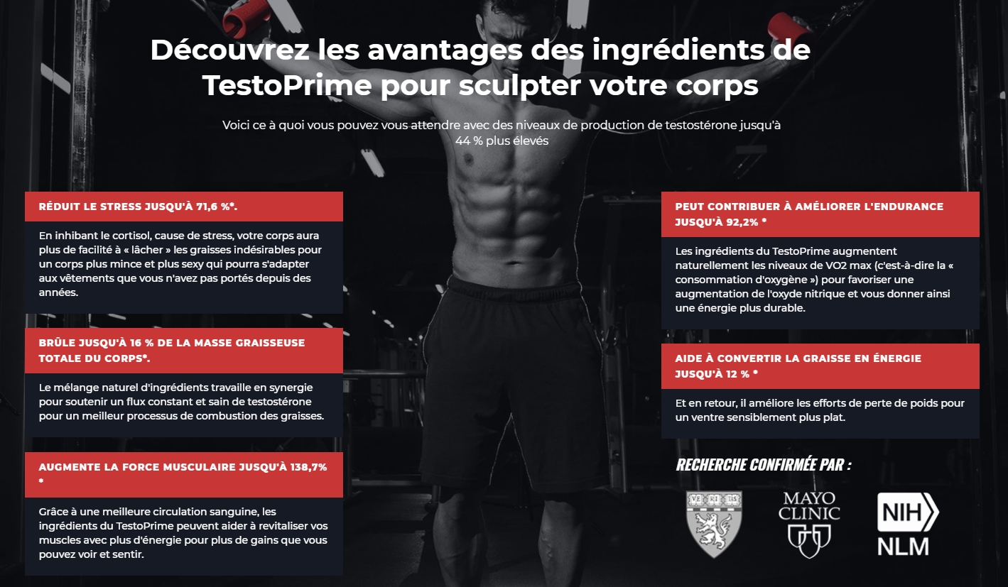 testosterone chez lhomme