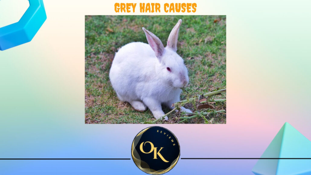 Why Do You Get Grey Hair At Young Age OkReviews