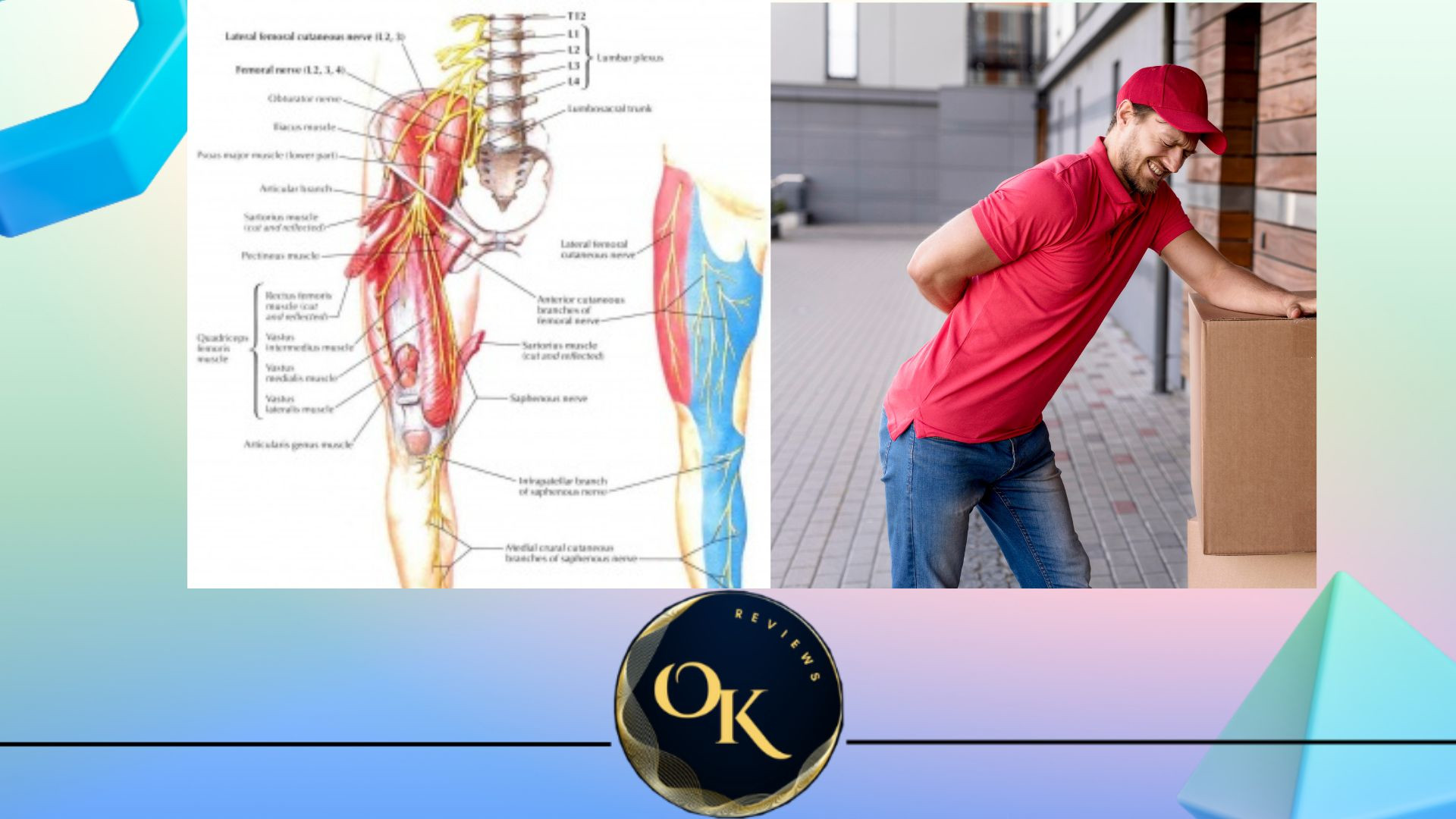 ce este nervul crural si unde este localizat